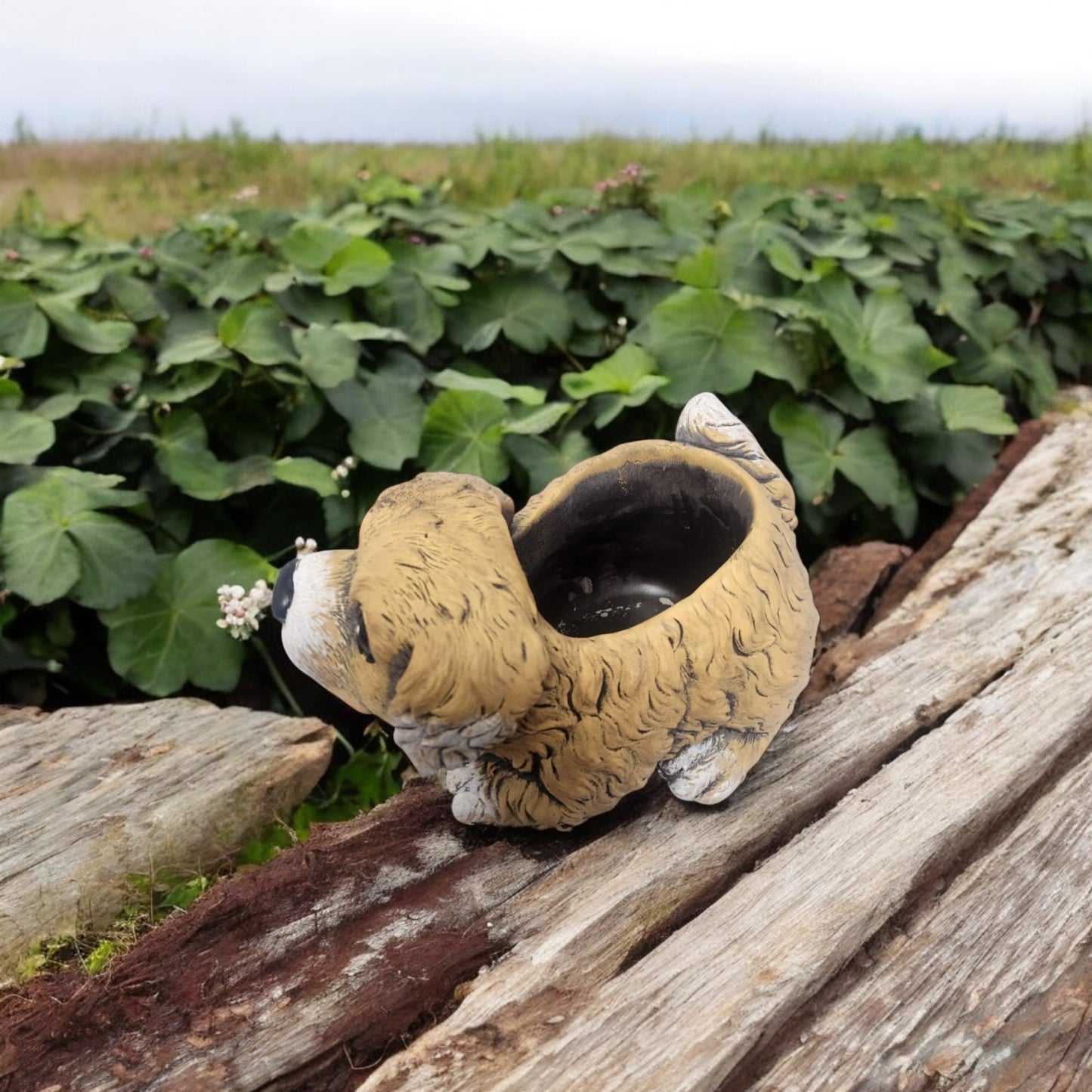 Cement Puppy Dog Planter – Medium, Large or Combo Set – Brown Garden Plant Pot