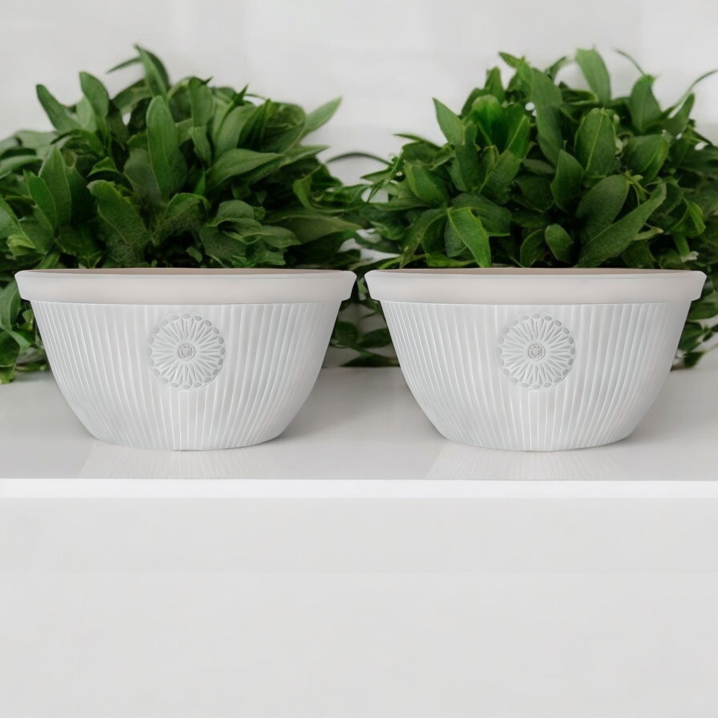Premium 14" Somerville Bowl Planter Pebble White Decorative Garden Pot (14L)