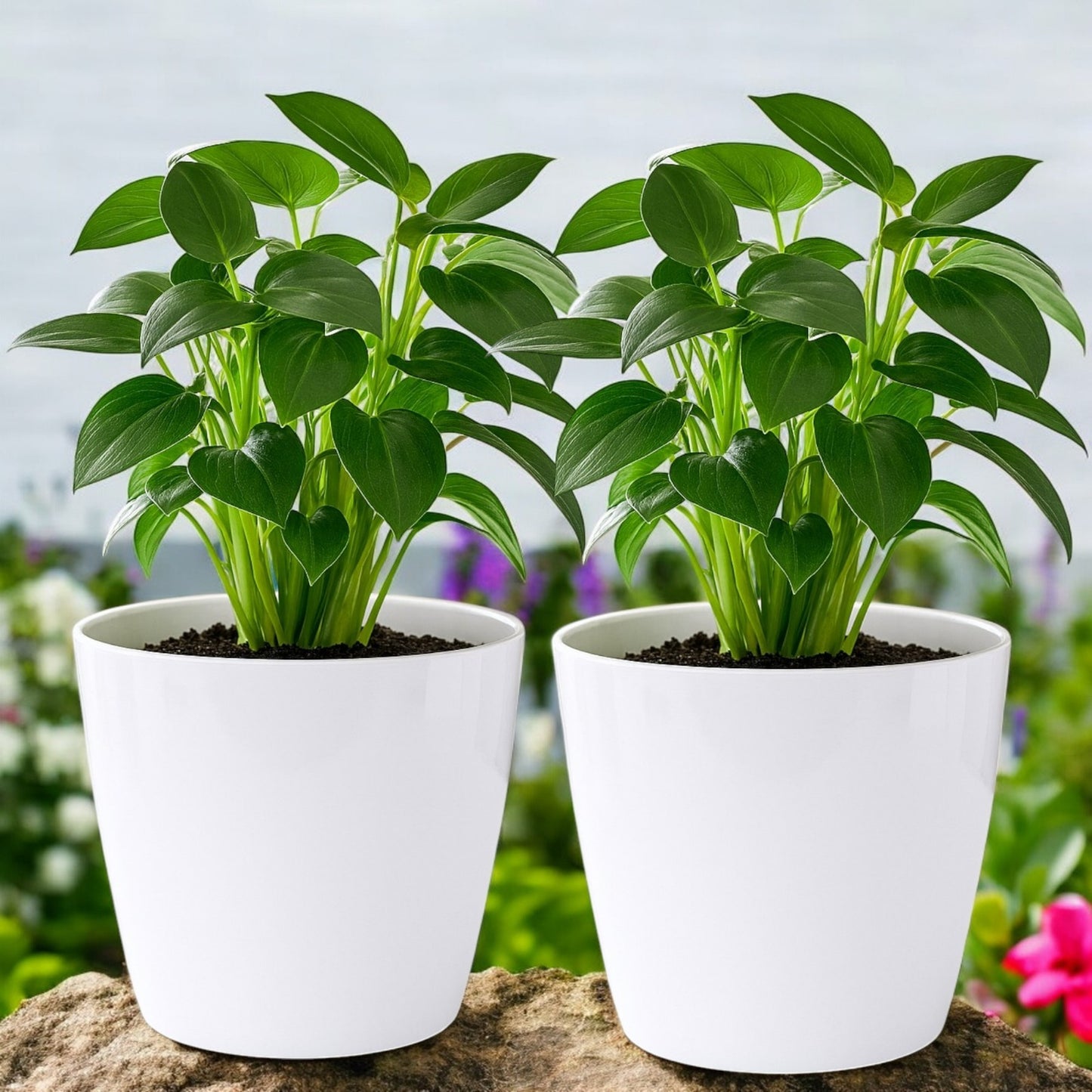 Pack of 2 White 15cm Indoor Plant Pots – Minimalist Round Plastic Planters