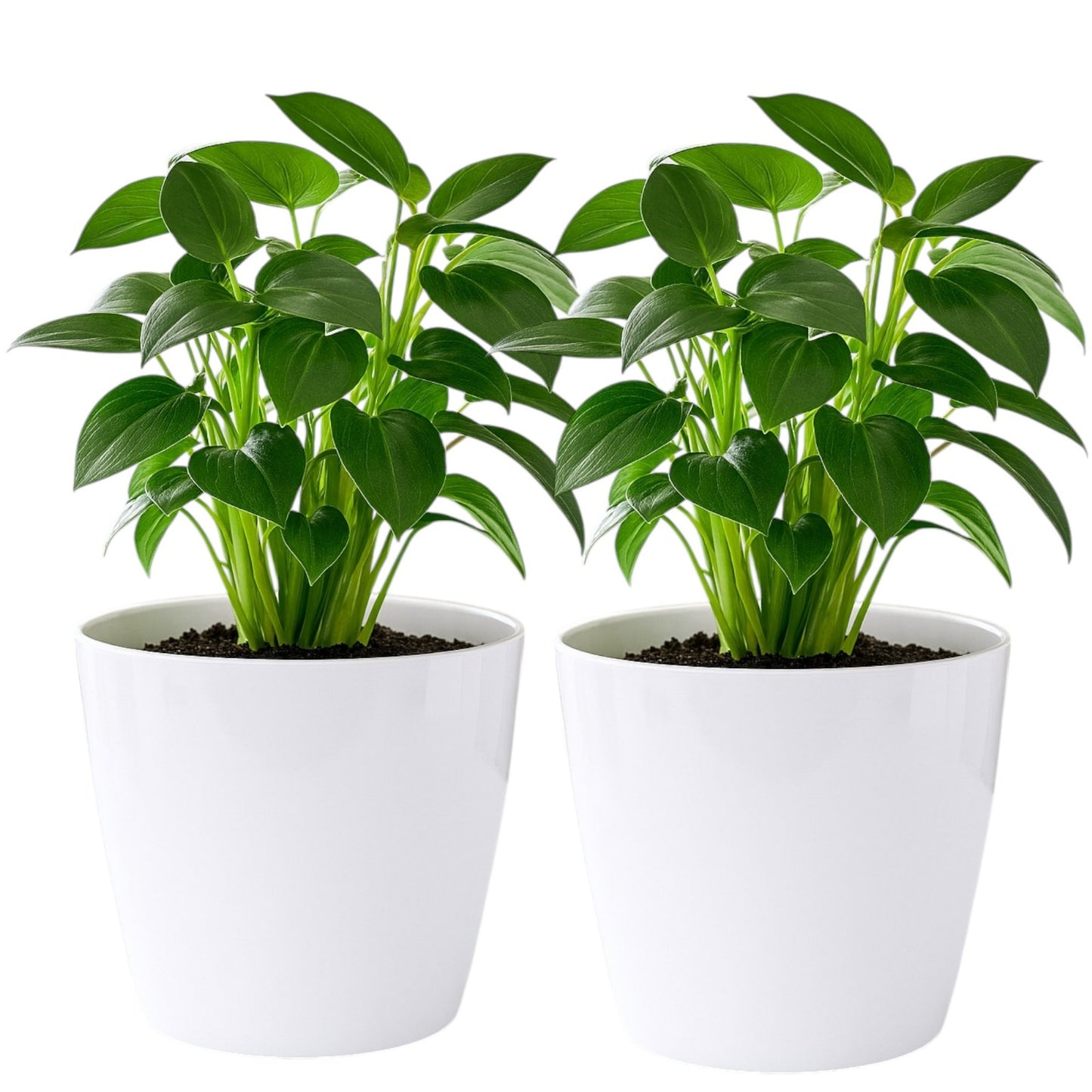 Pack of 2 White 15cm Indoor Plant Pots – Minimalist Round Plastic Planters