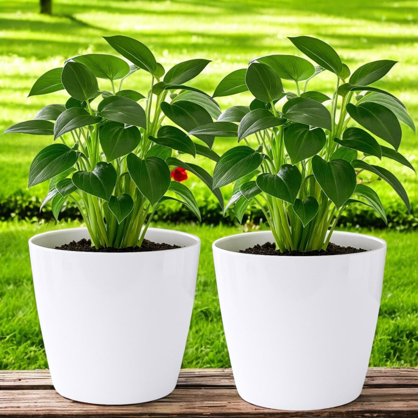 Pack of 2 White 15cm Indoor Plant Pots – Minimalist Round Plastic Planters