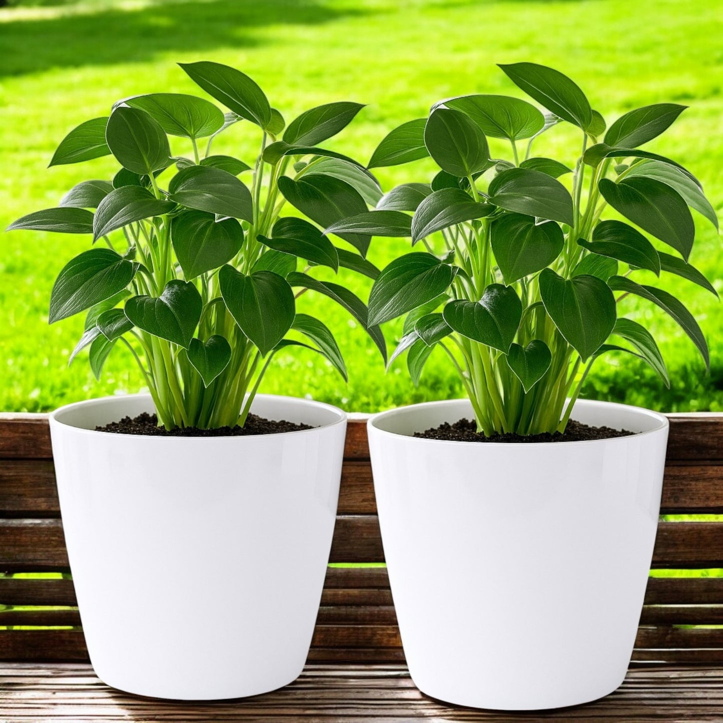 Pack of 2 White 15cm Indoor Plant Pots – Minimalist Round Plastic Planters