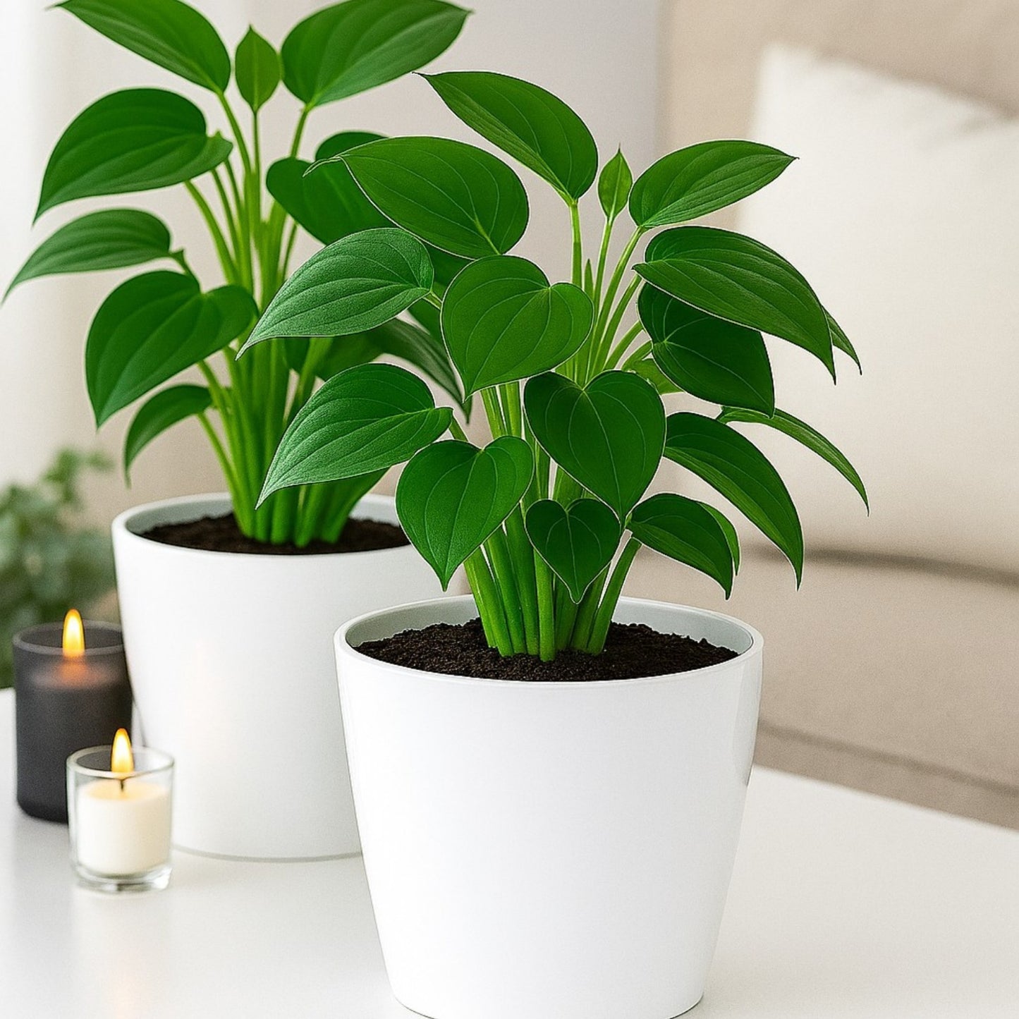 Pack of 2 White 15cm Indoor Plant Pots – Minimalist Round Plastic Planters