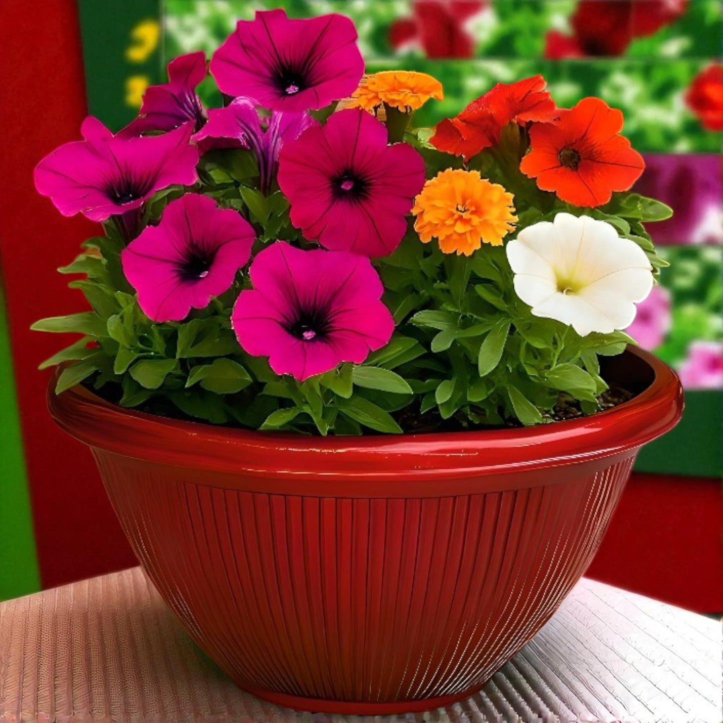 Beeline Bowl Planter 30cm – Round Ribbed Garden Pot with Drainage (Single / Pack of 2)