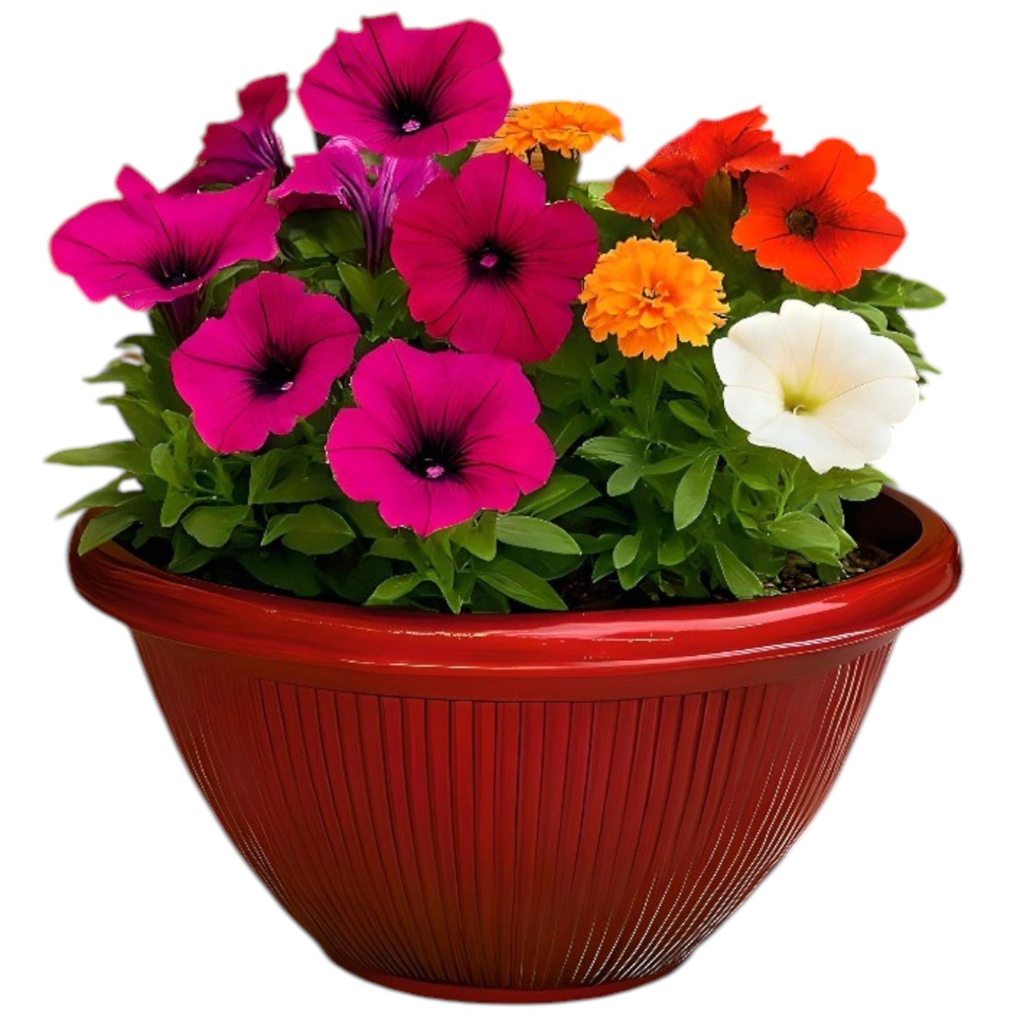 Beeline Bowl Planter 30cm – Round Ribbed Garden Pot with Drainage (Single / Pack of 2)
