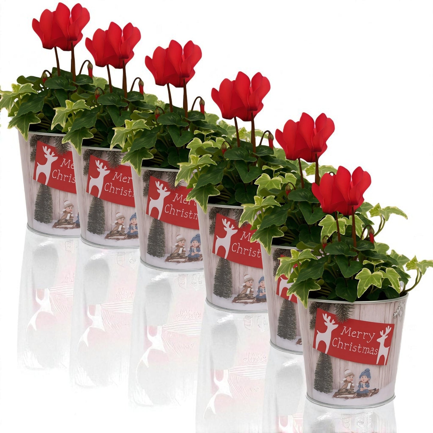 Christmas Tin Pail 15cm – Snow Scene Decorative Buckets (Pack of 2 / Pack of 6)