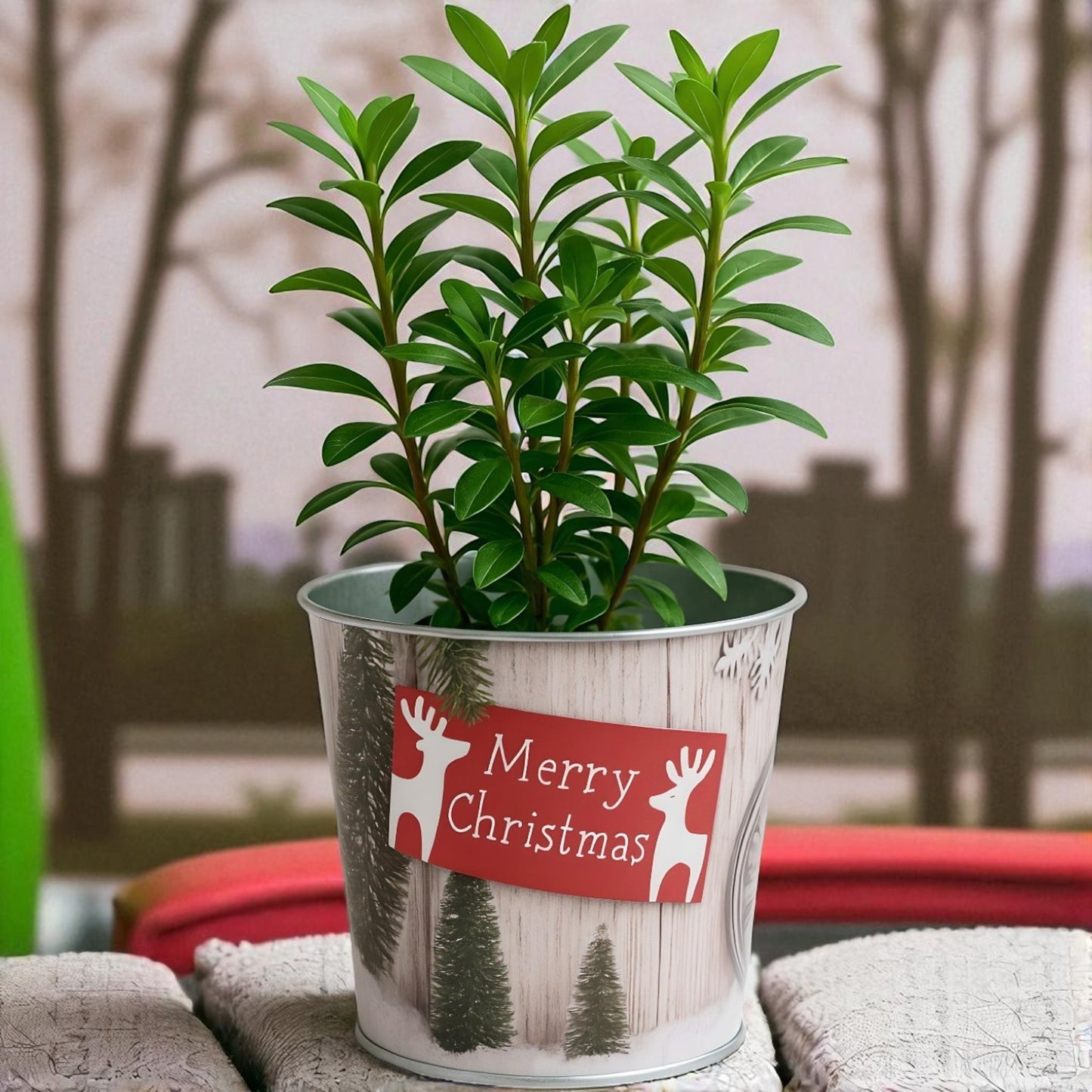 Christmas Tin Pail 15cm – Snow Scene Decorative Buckets (Pack of 2 / Pack of 6)