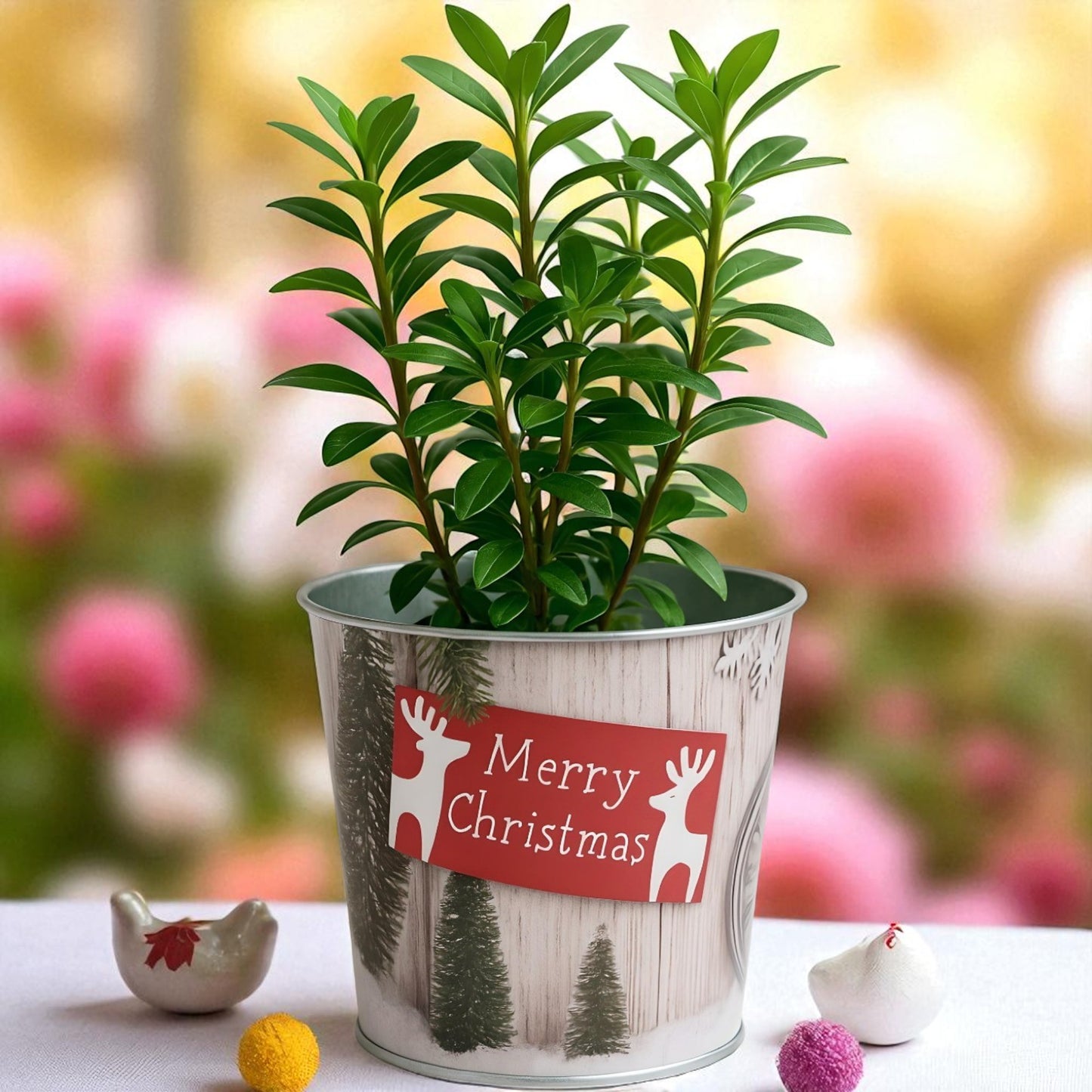 Christmas Tin Pail 15cm – Snow Scene Decorative Buckets (Pack of 2 / Pack of 6)