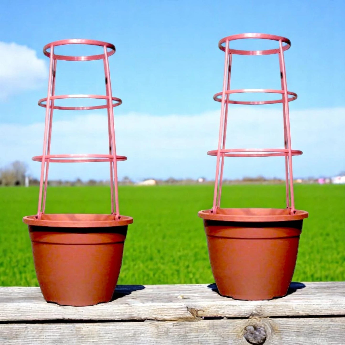 Bella 30cm Plastic Cage Planter – Terracotta Brown Pot with Support | 1/2/4 Pack