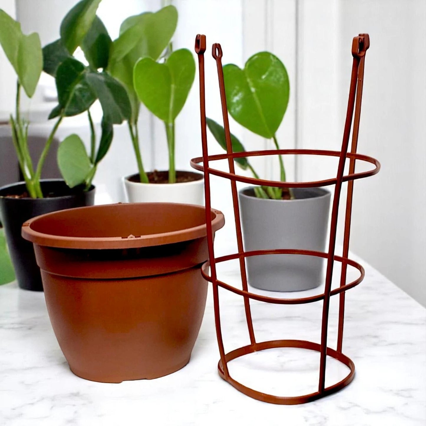 Bella 30cm Plastic Cage Planter – Terracotta Brown Pot with Support | 1/2/4 Pack