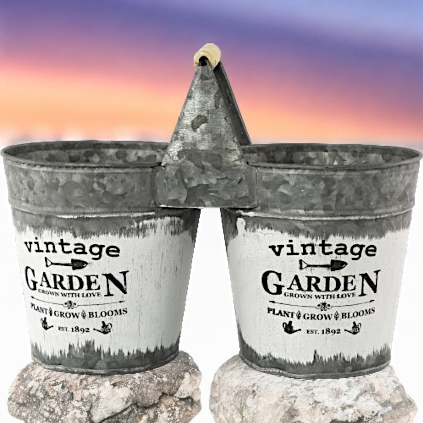 Vintage Charm for Your Garden: Double Tin Planter for Indoor & Outdoor Plants