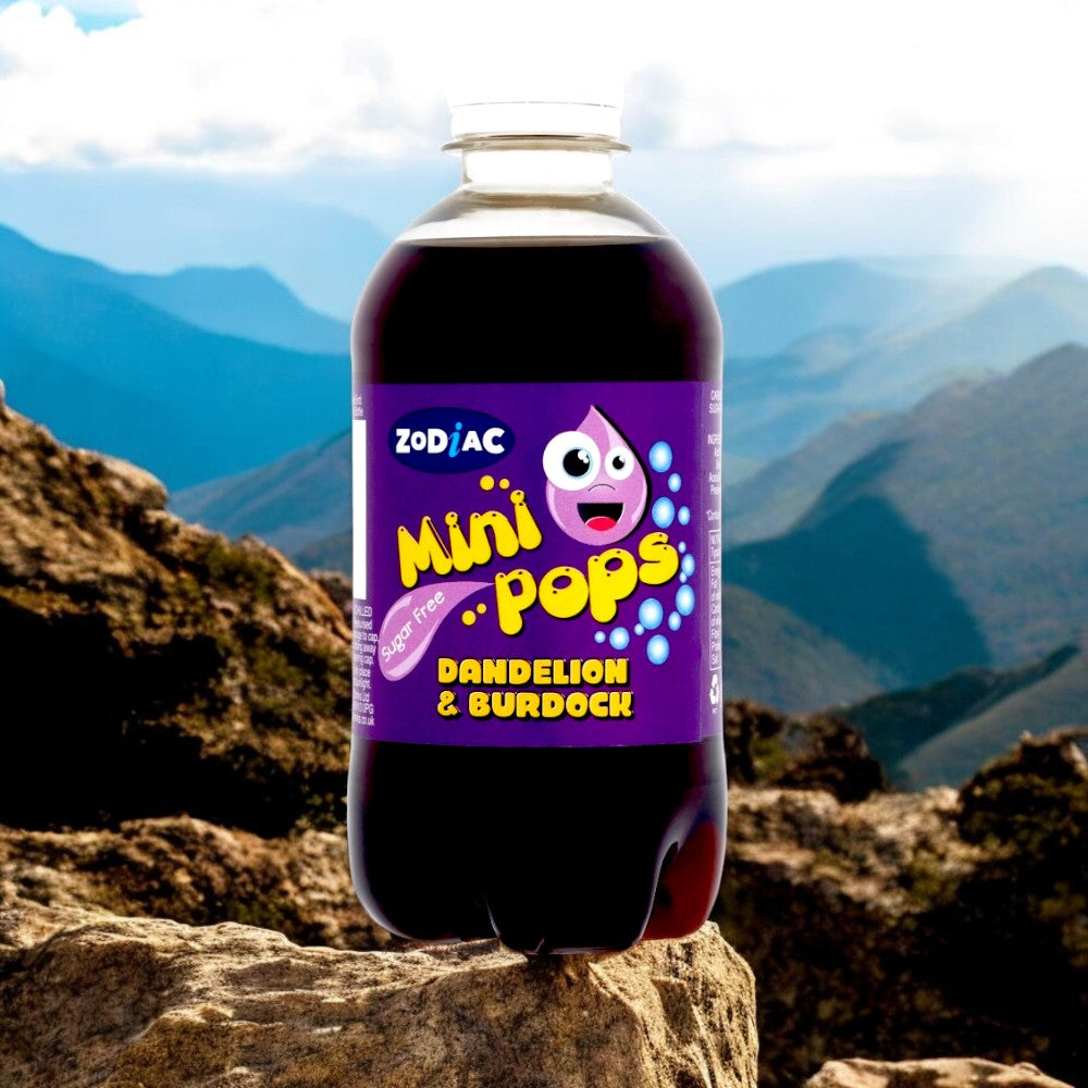 Zodiac Mini Pops Dandelion & Burdock  Sugar-Free Fizzy Drink (500ml)