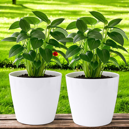 Pack of 2 White 15cm Indoor Plant Pots – Minimalist Round Plastic Planters