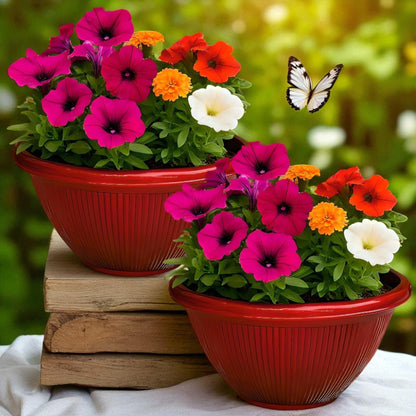 Beeline Bowl Planter 30cm – Round Ribbed Garden Pot with Drainage (Single / Pack of 2)