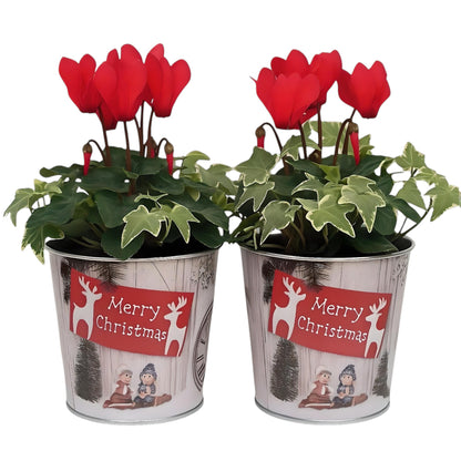 Christmas Tin Pail 15cm – Snow Scene Decorative Buckets (Pack of 2 / Pack of 6)