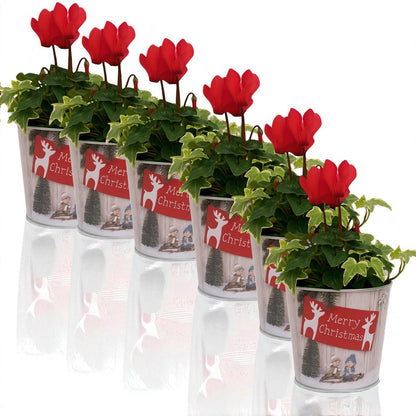 Christmas Tin Pail 15cm – Snow Scene Decorative Buckets (Pack of 2 / Pack of 6)