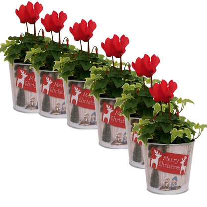 Christmas Tin Pail 15cm – Snow Scene Decorative Buckets (Pack of 2 / Pack of 6)