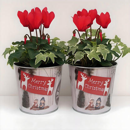 Christmas Tin Pail 15cm – Snow Scene Decorative Buckets (Pack of 2 / Pack of 6)