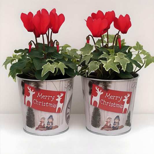 Christmas Tin Pail 15cm – Snow Scene Decorative Buckets (Pack of 2 / Pack of 6)