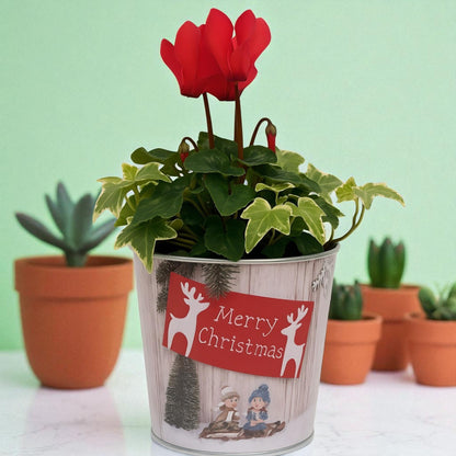 Christmas Tin Pail 15cm – Snow Scene Decorative Buckets (Pack of 2 / Pack of 6)