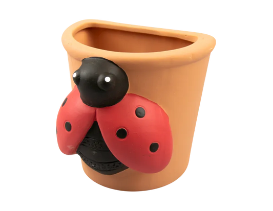 Insect Wall Planter Decorative Hanging Plant Pot | Ladybird, Bee, Butterfly & Dragonfly Weatherproof resin planter