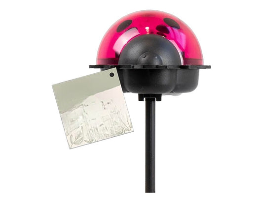 Ladybird & Bee Solar Stake Lights Weatherproof LED Garden Decorations Solar garden stake  LED garden lightslight