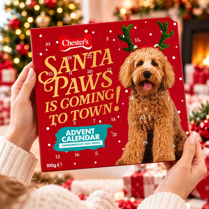 Chesters Christmas Dog Advent Calendar 100g – 24 Doors with 6 Festive Treat Varieties