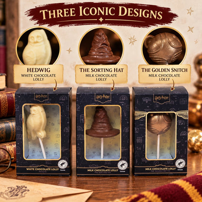 Harry Potter Chocolate Lollipop 30g | Hedwig, Sorting Hat or Golden Snitch | Boxed Sweet Gift