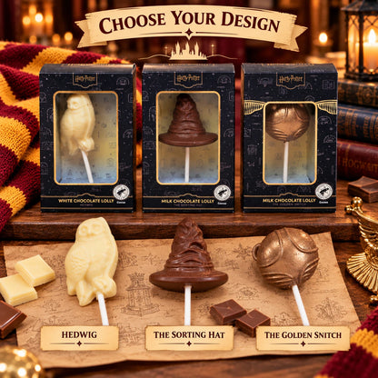 Harry Potter Chocolate Lollipop 30g | Hedwig, Sorting Hat or Golden Snitch | Boxed Sweet Gift