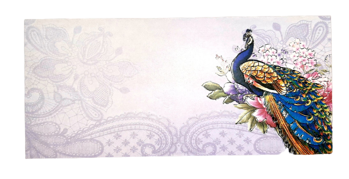 Fancy Designer Pack of 10 Envelop