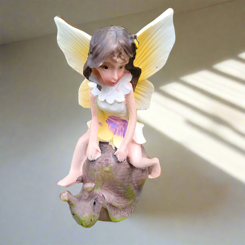 Fairy On Tortoise Snail and Ladybird Statue Garden Decoration Outdoor Ornaments