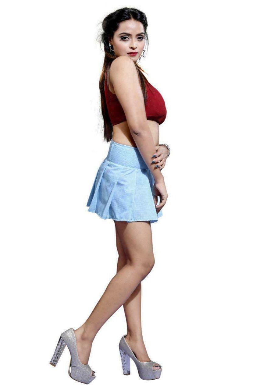 Blue Check Pleated Skirt