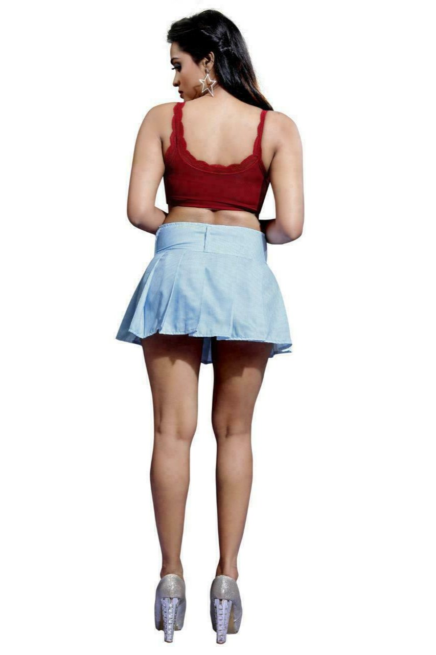 Blue Check Pleated Skirt