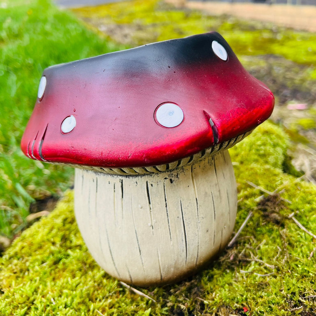 Cement Planter Toadstool Shape Succulent Flower Plant Pots Indoor ...