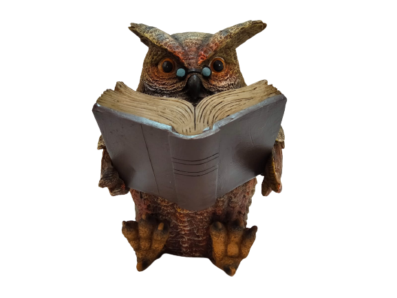 Divas World Owl Reading Book Statue Solar Power Light Garden Decoration Outdoor Lawn Patio Balcony Yard Ideal For Gift
