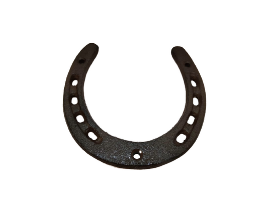 Divas World Horse Shoe Hook Cast Iron Good Luck Door Vintage Antique Wall Stylish Gift