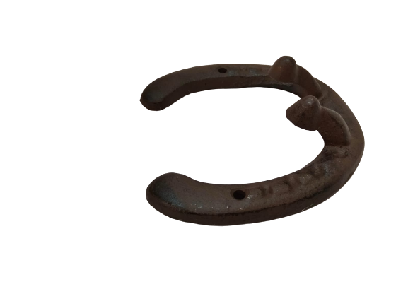 Divas World Horseshoe Cast Iron with 2 Hook Cast Iron Vintage Antique Wall Mounted Good Luck Door Gift